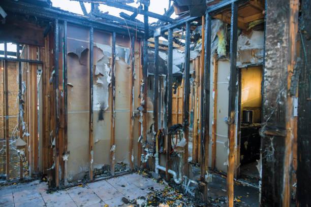Professional Fire Damage Removal technician working in Sardinia, OH